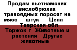Продам вьетнамских,вислобрюхих,травоядных поросят.на мясо(10 штук). › Цена ­ 230 - Тверская обл., Торжок г. Животные и растения » Другие животные   